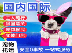 大兴航空邮寄国际宠物托运 【国